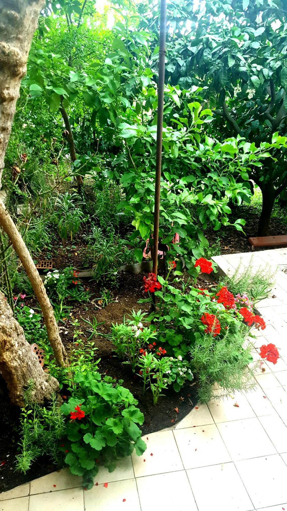 Apartments Vala เบทินา ภายนอก รูปภาพ